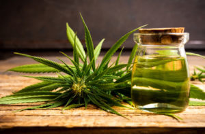 Cannabidiol CBD